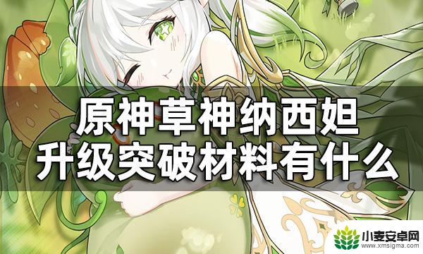 原神小草神升级材料 纳西妲突破材料清单