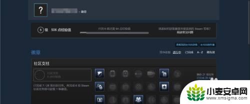 steam买游戏得多少经验 Steam等级是怎么计算的