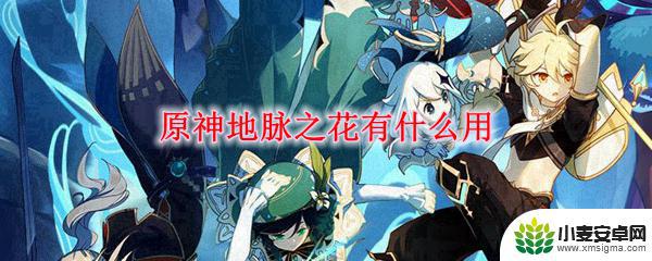 原神 地花 原神地脉之花升级材料有哪些