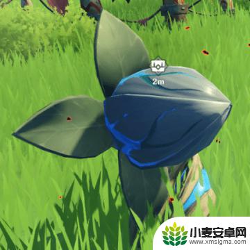 原神 地花 原神地脉之花升级材料有哪些