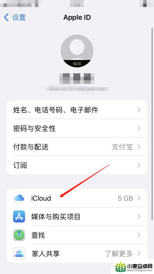 苹果手机那个icloud怎么取消 怎样彻底关闭苹果icloud服务