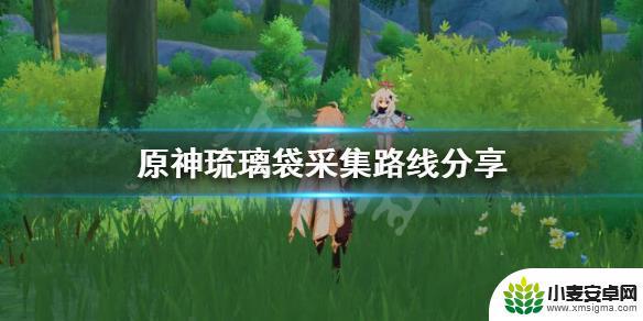 原神琉璃袋怎么采集 原神琉璃袋采集路线分享