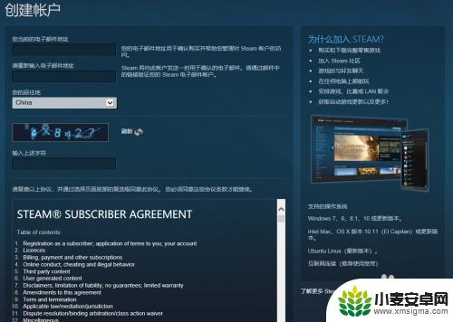 steam平台购买的游戏怎么玩 Steam如何购买游戏