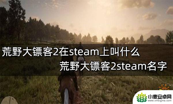 荒野大镖客游戏名字 荒野大镖客2 steam版本介绍