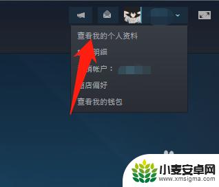 steam启动游戏怎么不让好友看到 steam设置不让好友看到正在玩的游戏