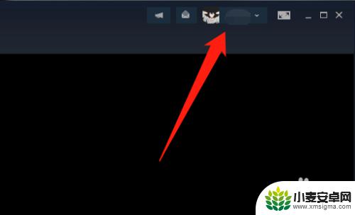 steam启动游戏怎么不让好友看到 steam设置不让好友看到正在玩的游戏