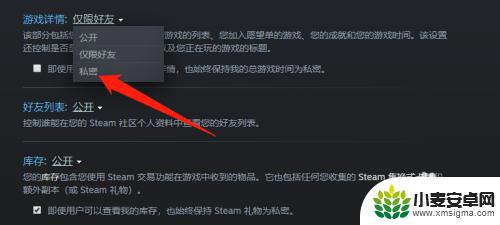 steam启动游戏怎么不让好友看到 steam设置不让好友看到正在玩的游戏