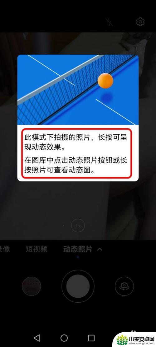 安卓手机动态拍照 如何拍摄会动的照片技巧