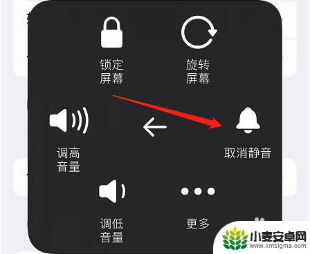 苹果手机玩王者没声音怎么回事? 苹果王者游戏声音丢失了怎么处理