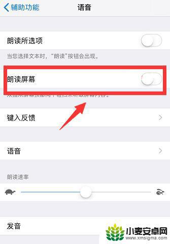 苹果手机自带朗读怎么关闭 iPhone 如何关闭朗读屏幕功能