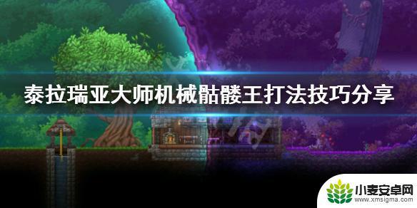 泰拉瑞亚机械骷髅王逃课打法 泰拉瑞亚大师机械骷髅王挑战技巧