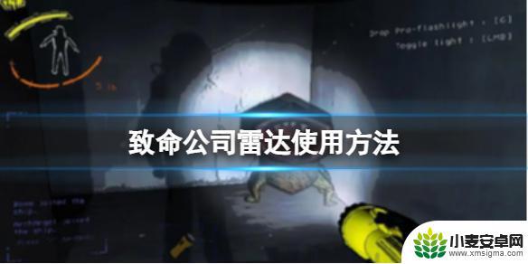 致命公司雷达闪光 《致命公司》雷达使用技巧