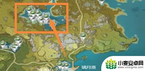 原神海盗游戏莲蓬在哪 原神莲蓬在哪个地图