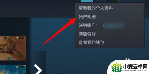 steam点数商店隐藏的物品 Steam如何设置显示成人内容