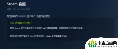 怎么看steam游戏有没有valve 如何查看Steam账号的VAC封禁历史