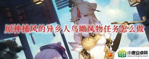 原神鸟瞰万物怎么过 原神捕风的异乡人鸟瞰风物任务攻略