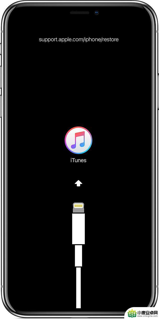 苹果xmax手机强制重启 iPhone XS/XS Max如何进入DFU模式