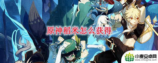 原神稻米怎么搞 原神稻米获得方法