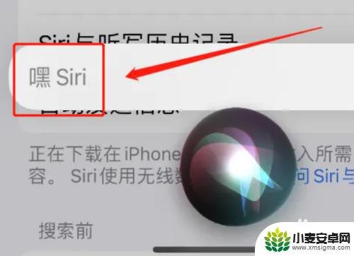 苹果手机叫什么唤醒 苹果手机如何唤醒Siri