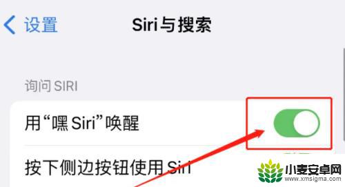 苹果手机叫什么唤醒 苹果手机如何唤醒Siri