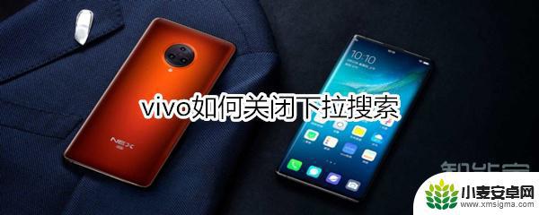 vivo手机怎么关闭下拉搜索功能 vivo手机如何关闭下拉搜索功能