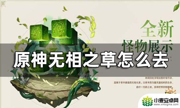 原神有没有无相之草 原神无相之草的抵达方法有哪些