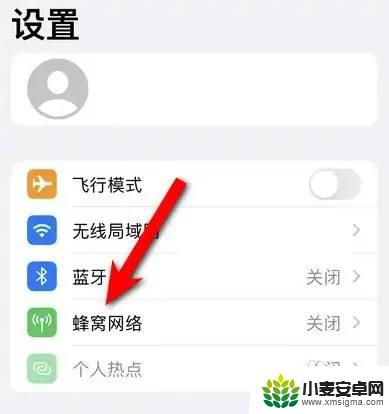 iphone5g怎么打开 如何在苹果手机上打开5G功能