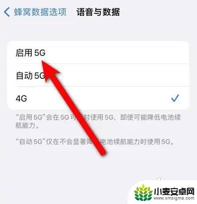 iphone5g怎么打开 如何在苹果手机上打开5G功能