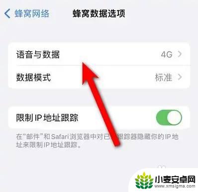iphone5g怎么打开 如何在苹果手机上打开5G功能
