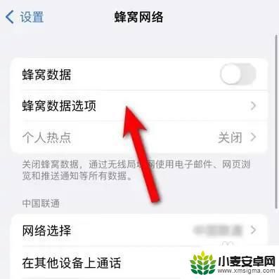 iphone5g怎么打开 如何在苹果手机上打开5G功能