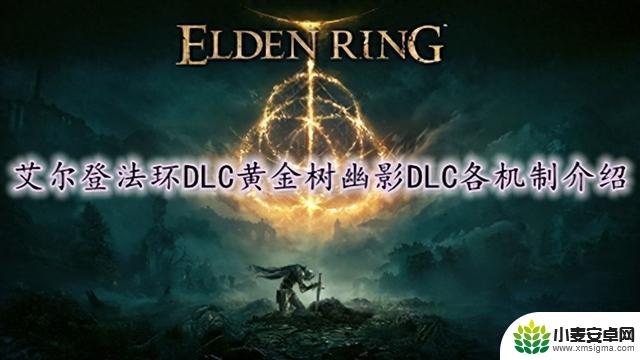 艾尔登法环DLC黄金树幽影入场必读指南，黄金树幽影DLC详细机制解析