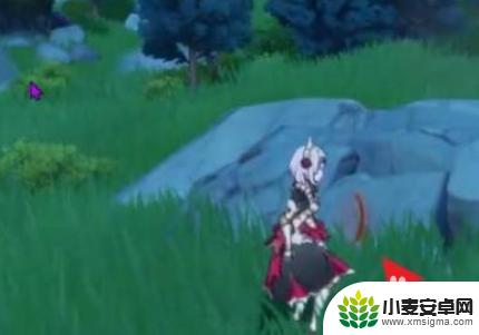 原神怎么收集宠物 原神如何获得宠物