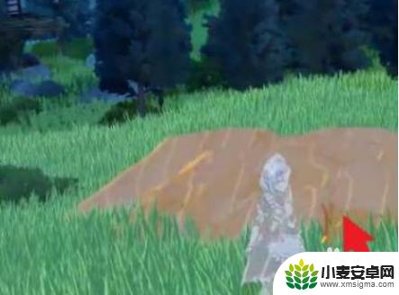 原神怎么收集宠物 原神如何获得宠物