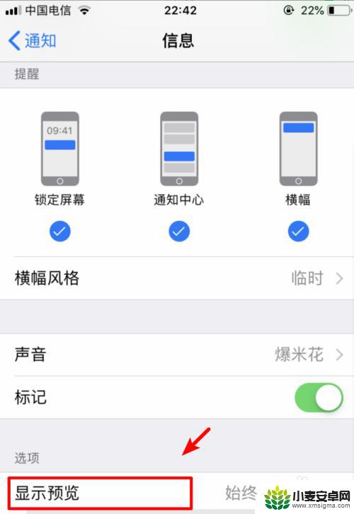 iphone如何不显示短信内容 iPhone手机如何设置短信不显示内容