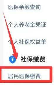 交农村医疗保险手机怎么操作 农村医保手机缴费