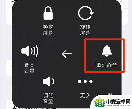 iphone打王者没有声音 苹果手机打开王者荣耀没有声音是什么原因