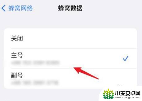 苹果怎么看手机插几张卡 iPhone13如何查看主卡和副卡使用情况