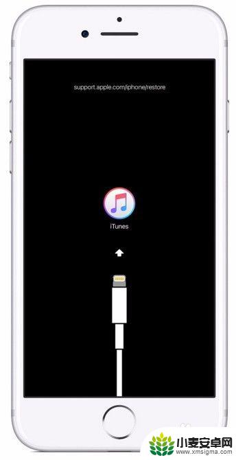 手机出现iphone已停用连接itunes怎么办 IPhone连接ITunes提示停用怎么处理