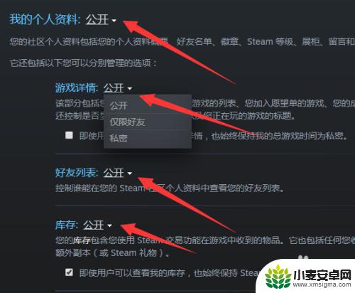 怎么公开steam的个人资料 steam资料怎么完全公开