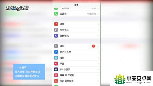 苹果手机静音后震动怎么关 怎么在苹果iPhone手机的静音模式下停止振动