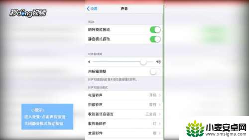 苹果手机静音后震动怎么关 怎么在苹果iPhone手机的静音模式下停止振动