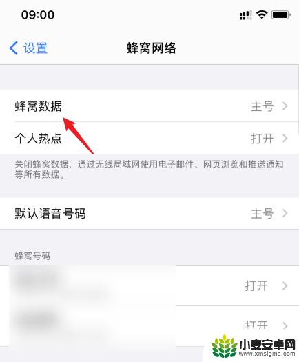 iphone流量卡怎么设置 苹果手机如何设置流量使用哪张卡