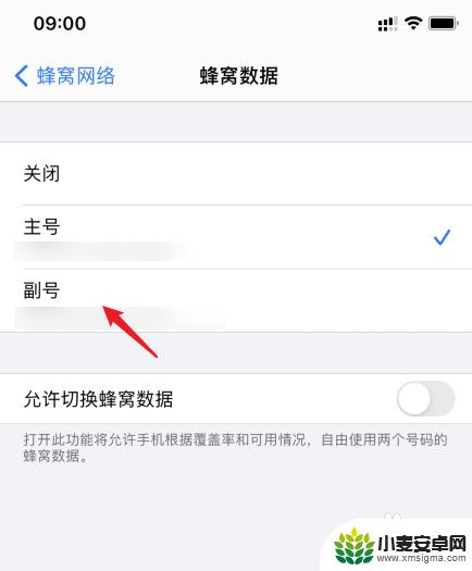 iphone流量卡怎么设置 苹果手机如何设置流量使用哪张卡