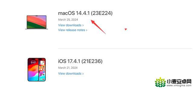 iOS 17.4.1发布安全报告，修复两个漏洞