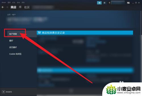 steam怎么看可以共享的游戏 Steam家庭共享游戏查看方法