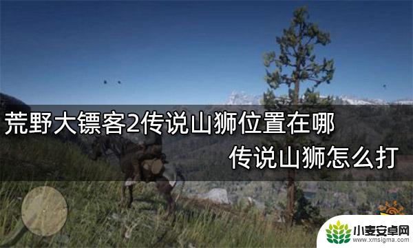 荒野大镖客2传说狮位置 荒野大镖客2 传说山狮位置图示