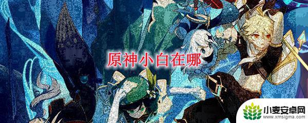 小白原神 原神小白在哪里可以找到