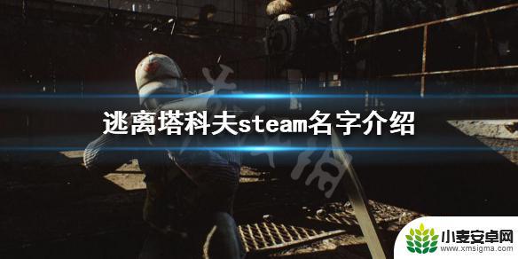 steam怎么搜逃离塔科夫 《逃离塔科夫》steam下载