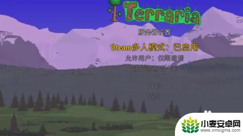 泰拉瑞亚steam怎么加好友 泰拉瑞亚怎么联机玩