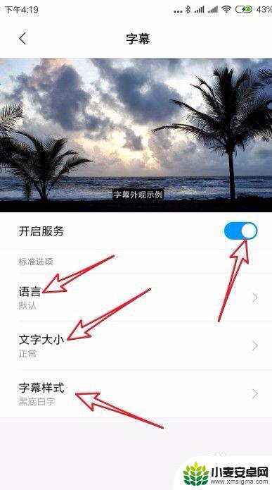 怎么设置手机上的字幕 小米手机如何开启视频字幕显示功能